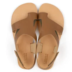 Tikki/LANG.S Gaia – Camel