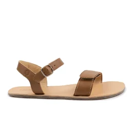 Tikki/LANG.S Hera – Brown
