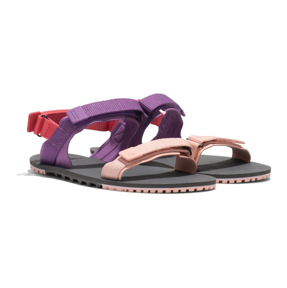 Xero Shoes D-Trail Womens – Dewberry Multi