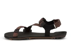 Xero Shoes Z-Trail EV Mens – Sandaler – Multi-Brown